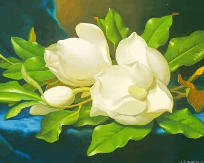Giant Magnolias On A Blue Velvet Cloth Still Life Painting By Numberss.png