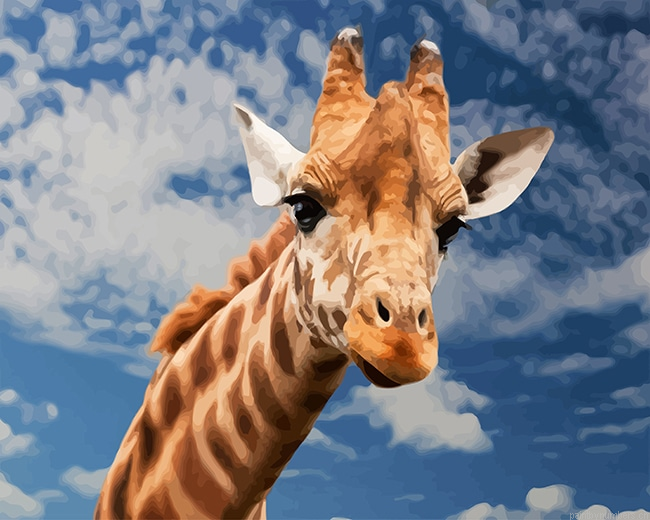 Giraffe Animals Painting By Numberss.png