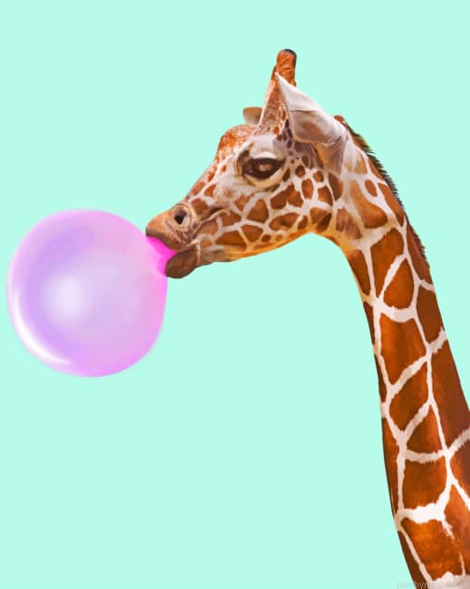 Giraffe Bubblegum Painting By Numbers.png
