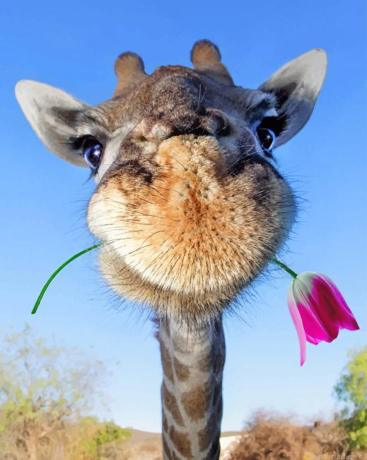 Giraffe Holding Flower Animals Painting By Numberss.png