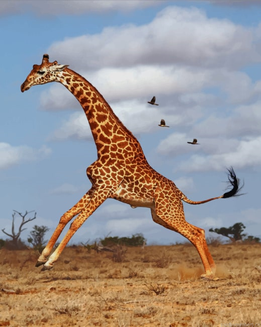 Giraffe In The Jungle Animals Painting By Numberss.png