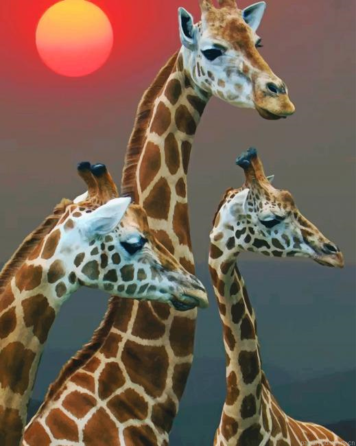 Giraffe With Babies In Sunset Animals Painting By Numbers.png