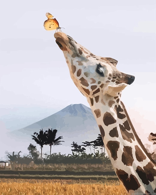 Giraffe And Butterfly Animals Painting By Numbers.png