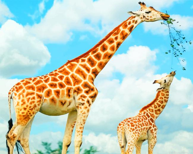 Giraffes Family Mother And Calf Animals Painting By Numberss.png