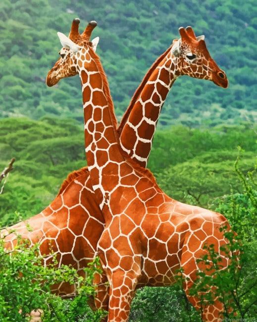 Giraffes In The Jungle Animals Painting By Numberss.png