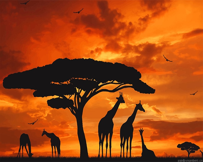 Giraffes Silhouette Sunset Animals Painting By Numberss.png