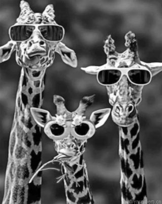Giraffes With Sunglasses Painting By Numbers.png