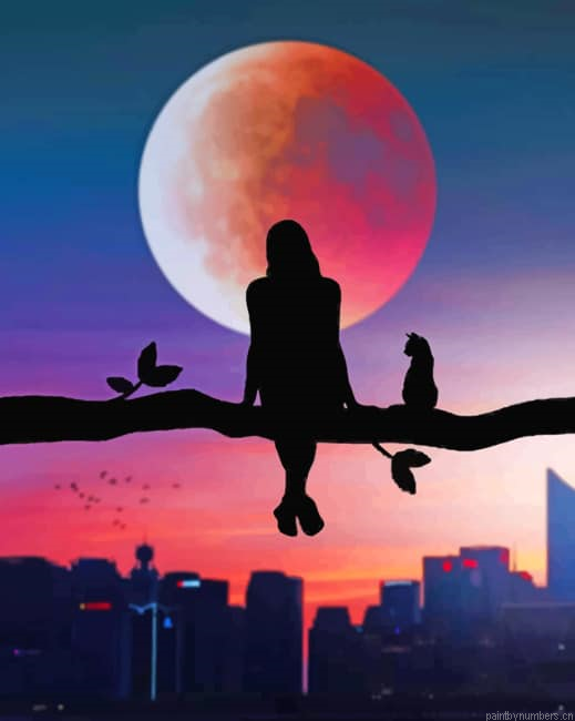 Girl And Cat Silhouette Painting By Numberss.png