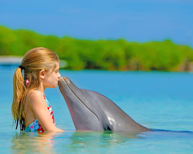 Girl And Dolphin In Maldives Painting By Numberss.png