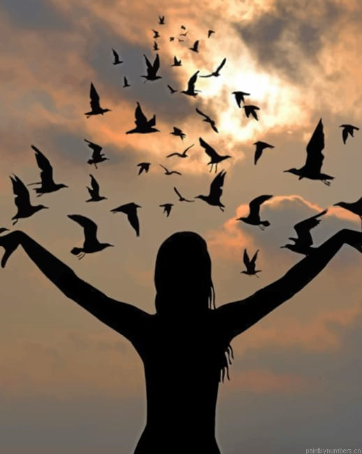 Girl And Flying Birds Silhouette Painting By Numberss.png