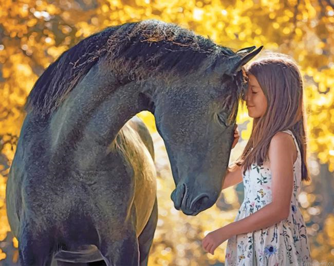 Girl And Her Black Horse Painting By Numberss.png