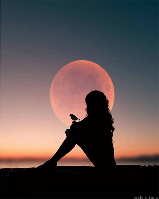 Girl Bird Silhouette Painting By Numberss.png