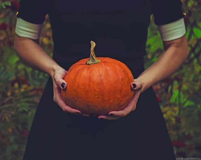 Girl Holding A Pumpkin Painting By Numberss.png