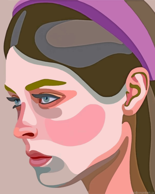 Girl Illustration Painting By Numbers.png