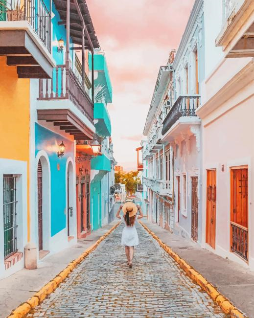 Girl In Florida Street Painting By Numbers.png