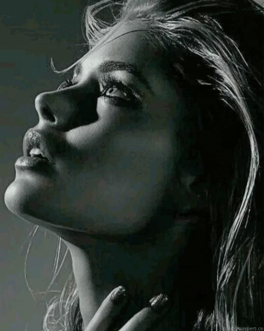 Girl Portrait Black And White Painting By Numberss.png