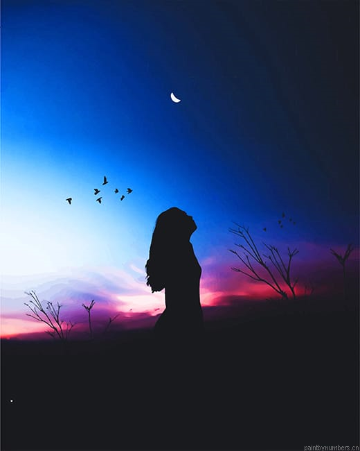 Girl Silhouette Painting By Numberss.png
