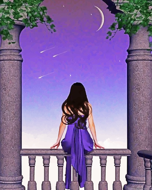 Girl Watching The Sky Painting By Numberss.png