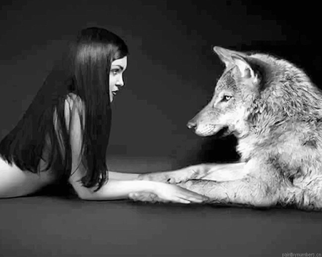 Girl With Her Wolf Best Friend Painting By Numbers.png