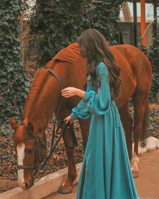 Girl With Horse Painting By Numberss.png