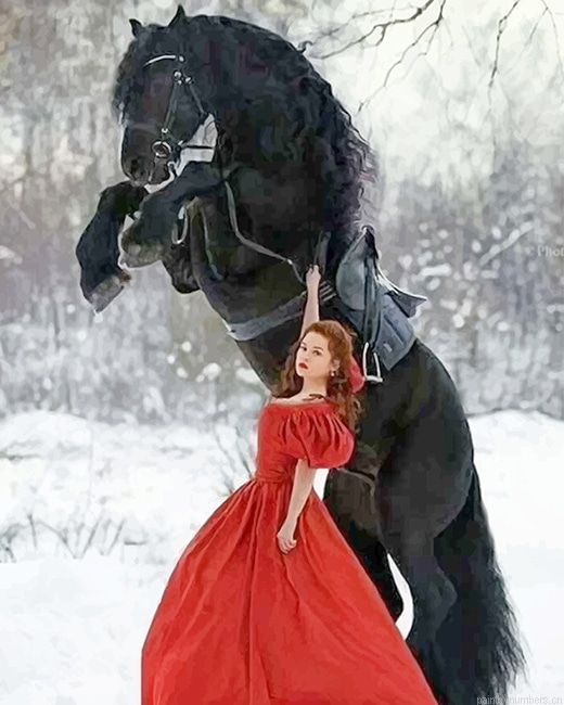 Girl With Black Horse Painting By Numbers.png