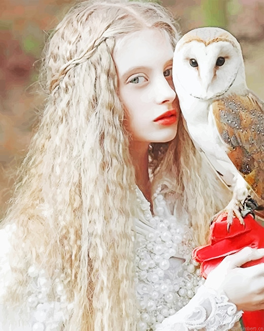 Girl With Owl Painting By Numberss.png