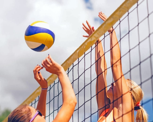 Girls Playing Volley Ball Painting By Numbers.png