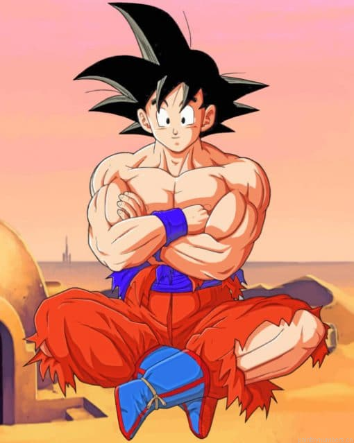 Goku Anime Character Painting By Numberss.png