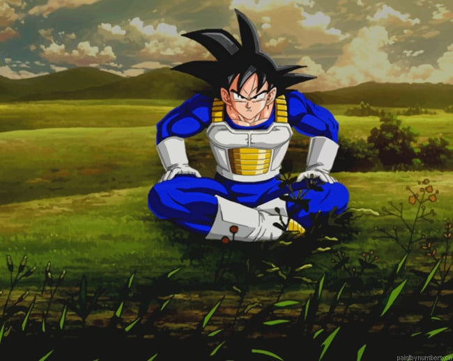 Goku In Saiyan Uniform Dragon Ball Z Animations Painting By Numberss.png