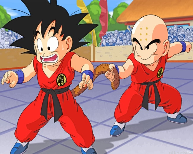 Goku Vs Krillin Dragonball Painting By Numbers.png