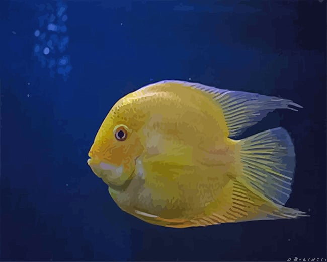 Golden Fish Painting By Numberss.png
