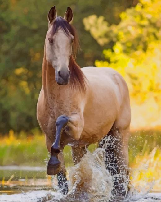 Golden Horse Animals Painting By Numberss.png