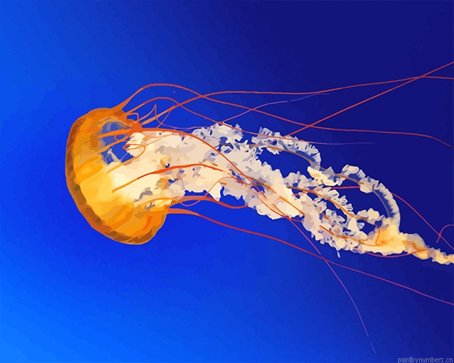 Golden Jellyfish Painting By Numberss.png