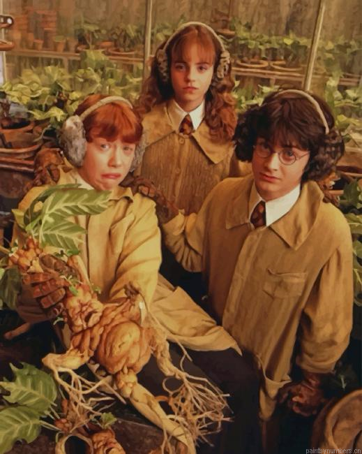 Golden Trio Chamber Of Secrets Harry Potter Painting By Numberss.png