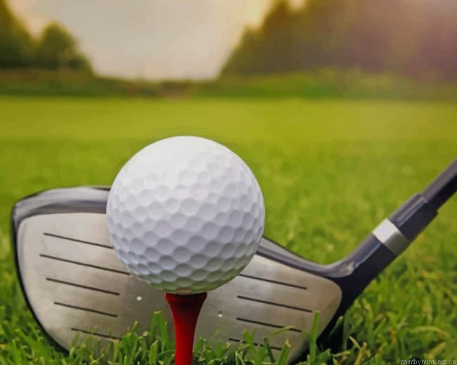 Golf Ball And Stick Painting By Numberss.png