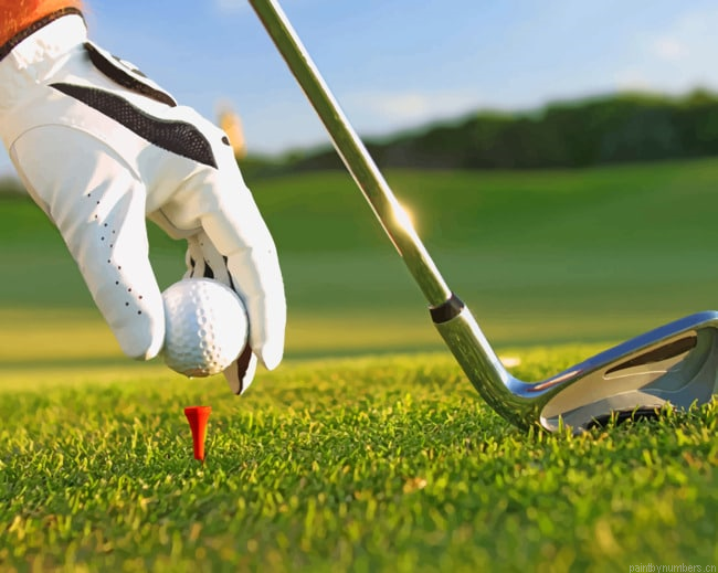 Golf Game Setup Painting By Numberss.png
