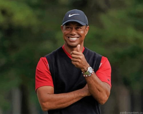 Golfer Tiger Woods Painting By Numbers.png