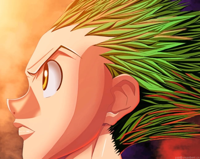 Gon Hunter X Hunter Animations Painting By Numberss.png