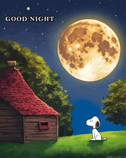 Good Night Snoopy Painting By Numberss.png