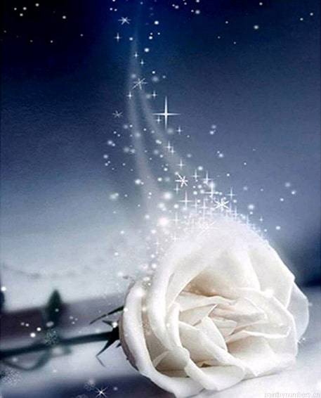 Good Night White Rose Painting By Numberss.png