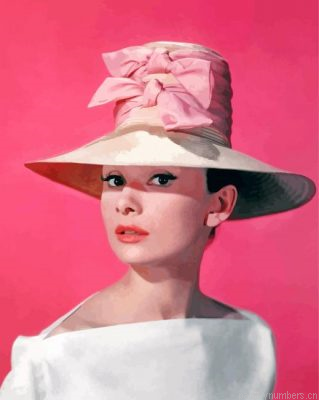 Gorgeous Hepburn Painting By Numbers.png