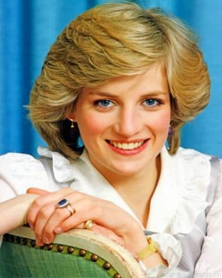 Gorgeous Lady Diana Painting By Numberss.png