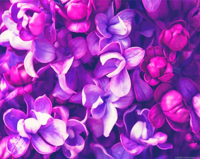 Gorgeous Purple Flowers Painting By Numbers.png