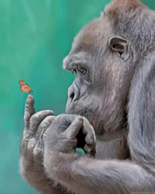 Gorilla And Butterfly Animals Painting By Numberss.png