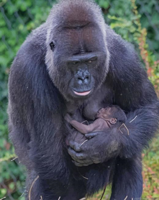 Gorilla And Her Baby Animals Painting By Numberss.png