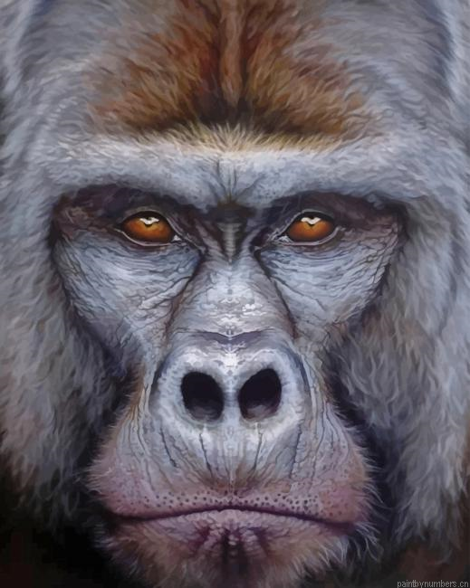 Gorilla Portrait Animals Painting By Numberss.png