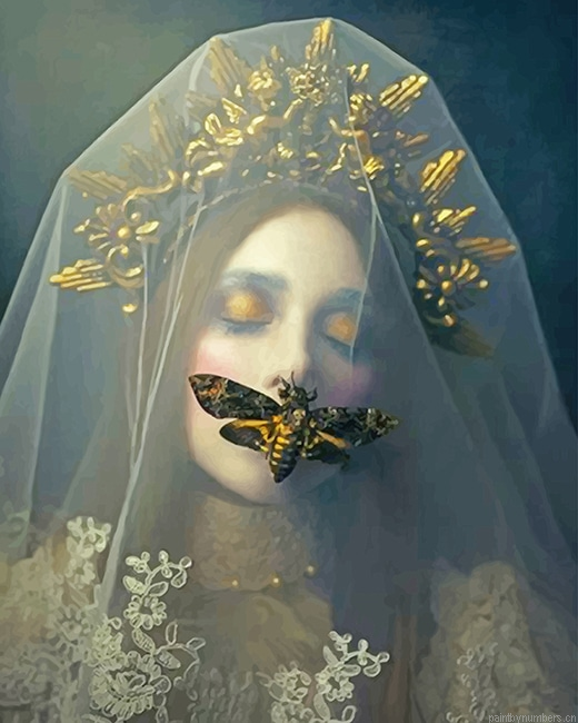Gothic Butterfly Bride Painting By Numbers.png