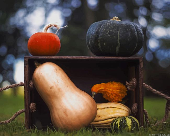 Gourds In Crate Food Painting By Numberss.png