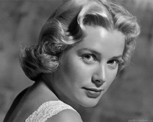 Grace Kelly Painting By Numbers.png