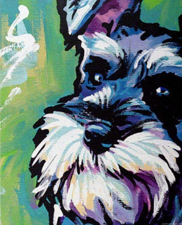 Graffiti Dog Schnauzer Animals Painting By Numbers.png